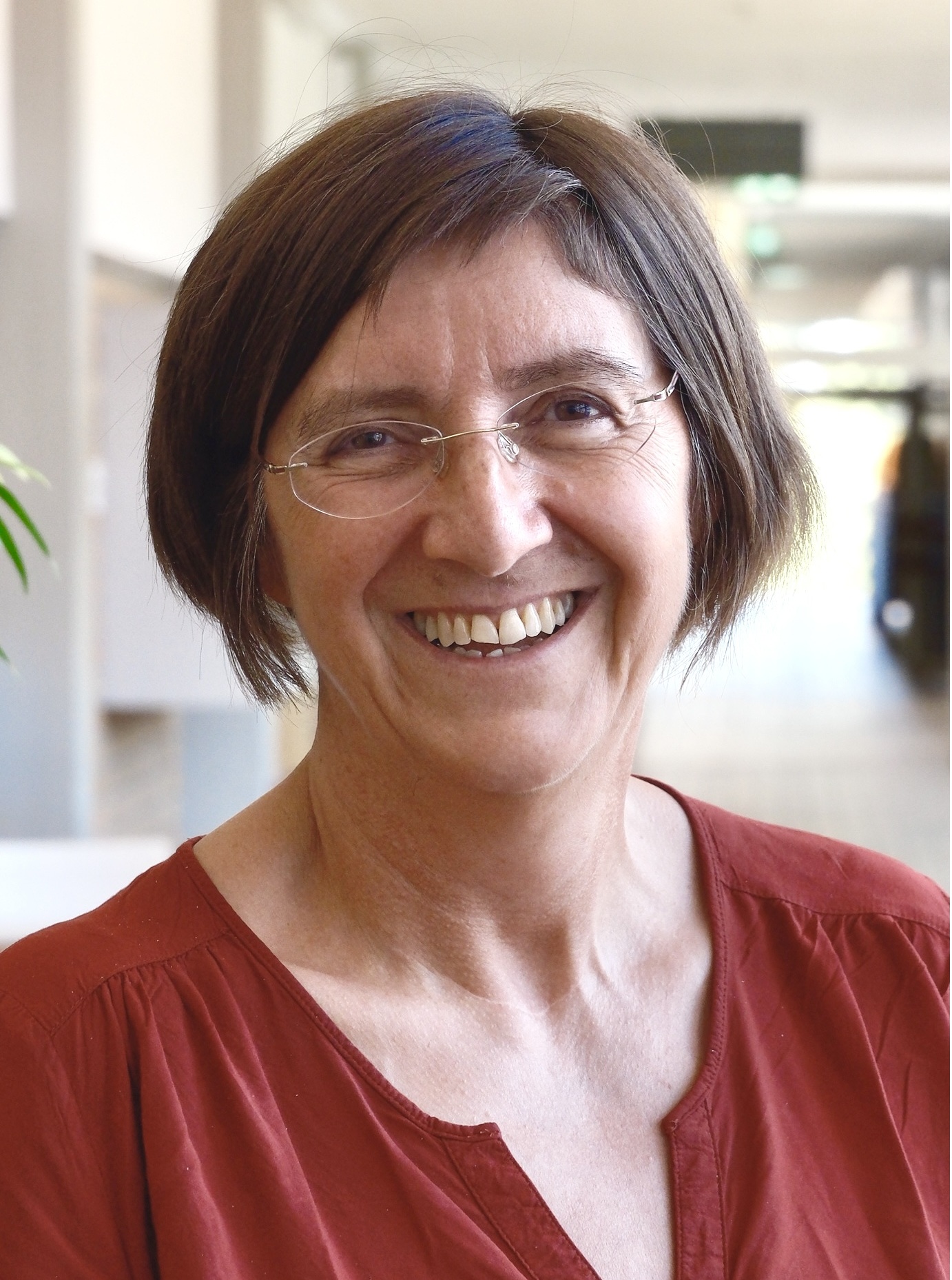 stu optimiert