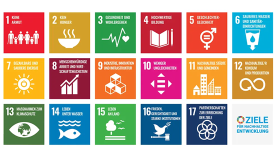 bne 17 sdg